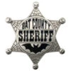 Bat County Sheriff Badge Enamel Pin -Kreepsville Shop BESBB