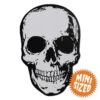Anatomical Skull Mini Vinyl Sticker